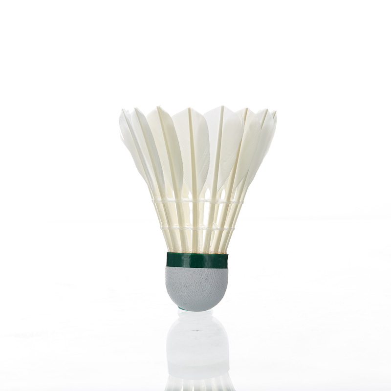 Kawasaki Veren Shuttle 8e Prof - Badminton Bwf recensie en prijs