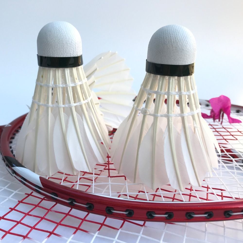 3/6/12 Stuks Nieuwe Witte Badm - Badminton Bwf recensie en prijs